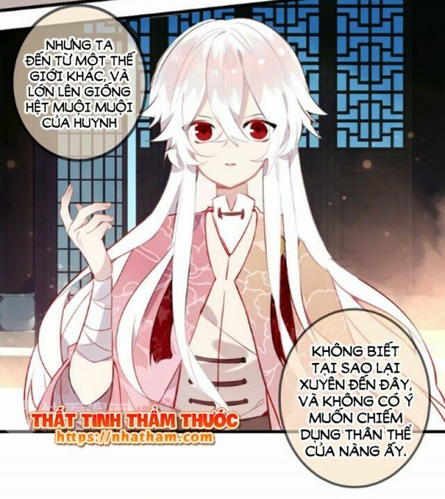 Ngô hoàng tại thượng: Chapter 41