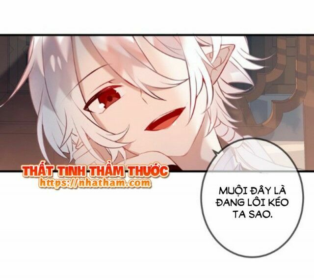 Ngô hoàng tại thượng: Chapter 41