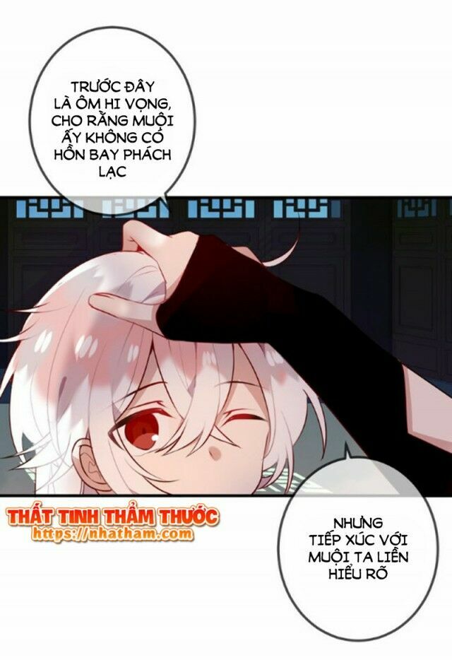 Ngô hoàng tại thượng: Chapter 41