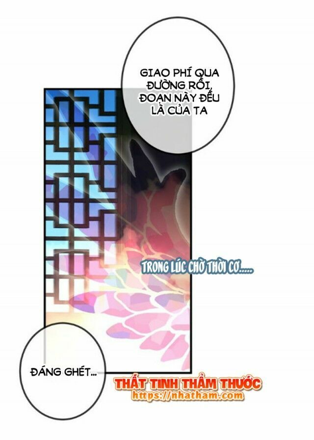 Ngô hoàng tại thượng: Chapter 41