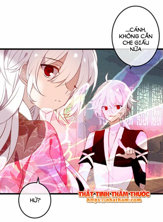 Ngô hoàng tại thượng: Chapter 42