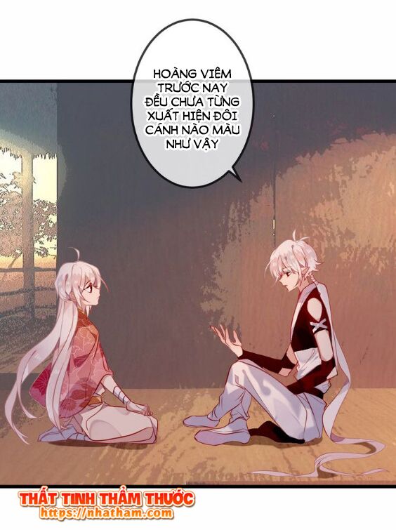 Ngô hoàng tại thượng: Chapter 42