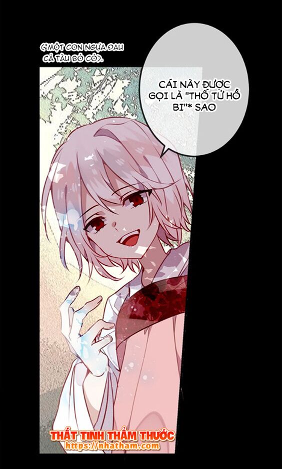 Ngô hoàng tại thượng: Chapter 42