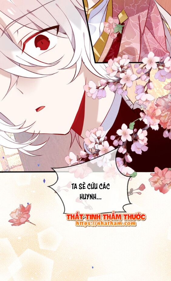 Ngô hoàng tại thượng: Chapter 43
