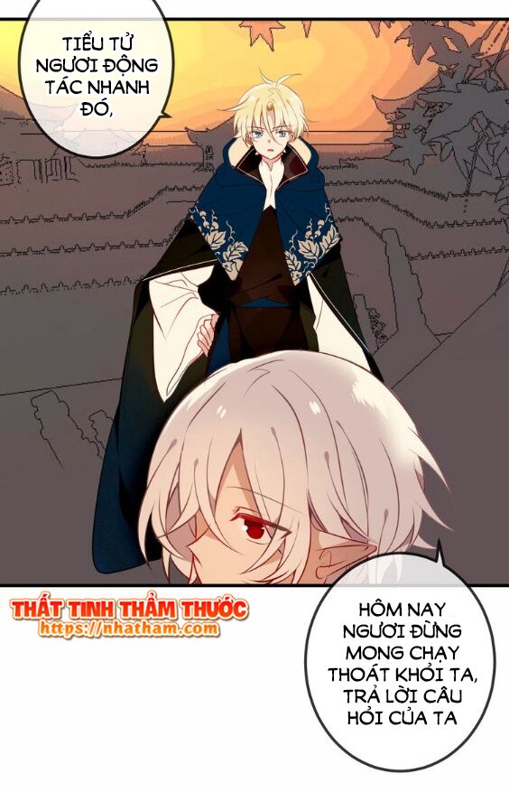 Ngô hoàng tại thượng: Chapter 43