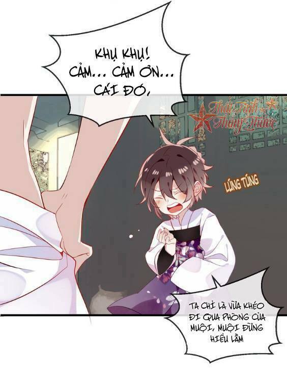 Ngô hoàng tại thượng: Chapter 48