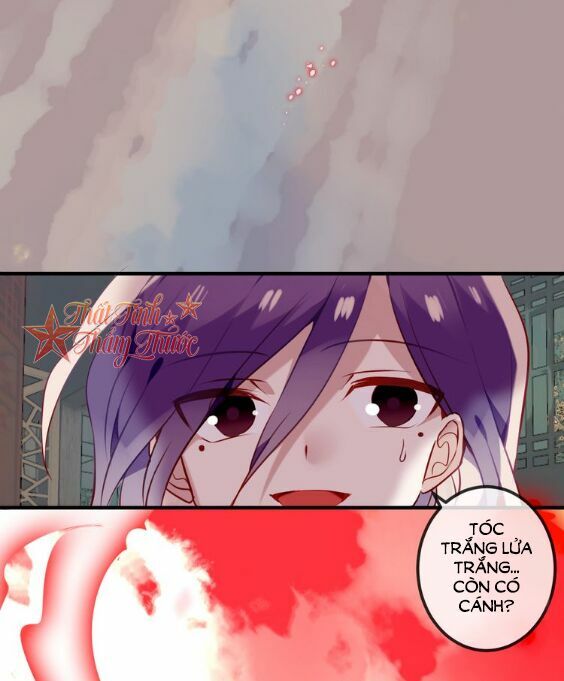 Ngô hoàng tại thượng: Chapter 49