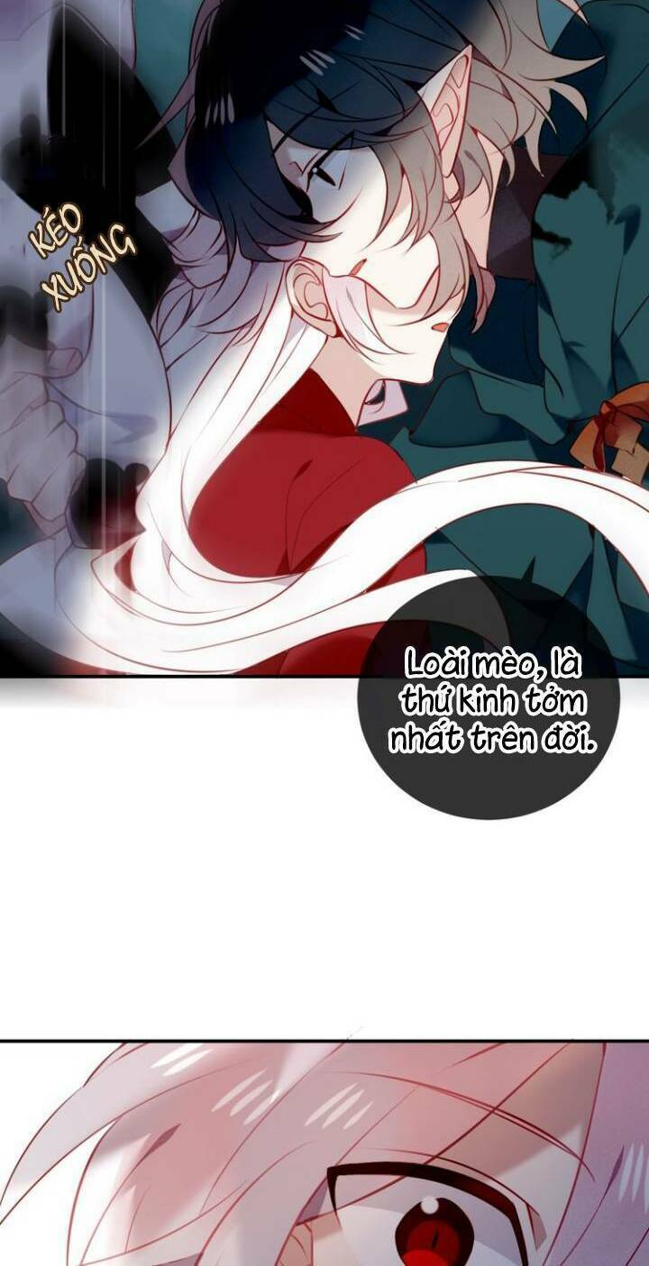 Ngô hoàng tại thượng: Chapter 68