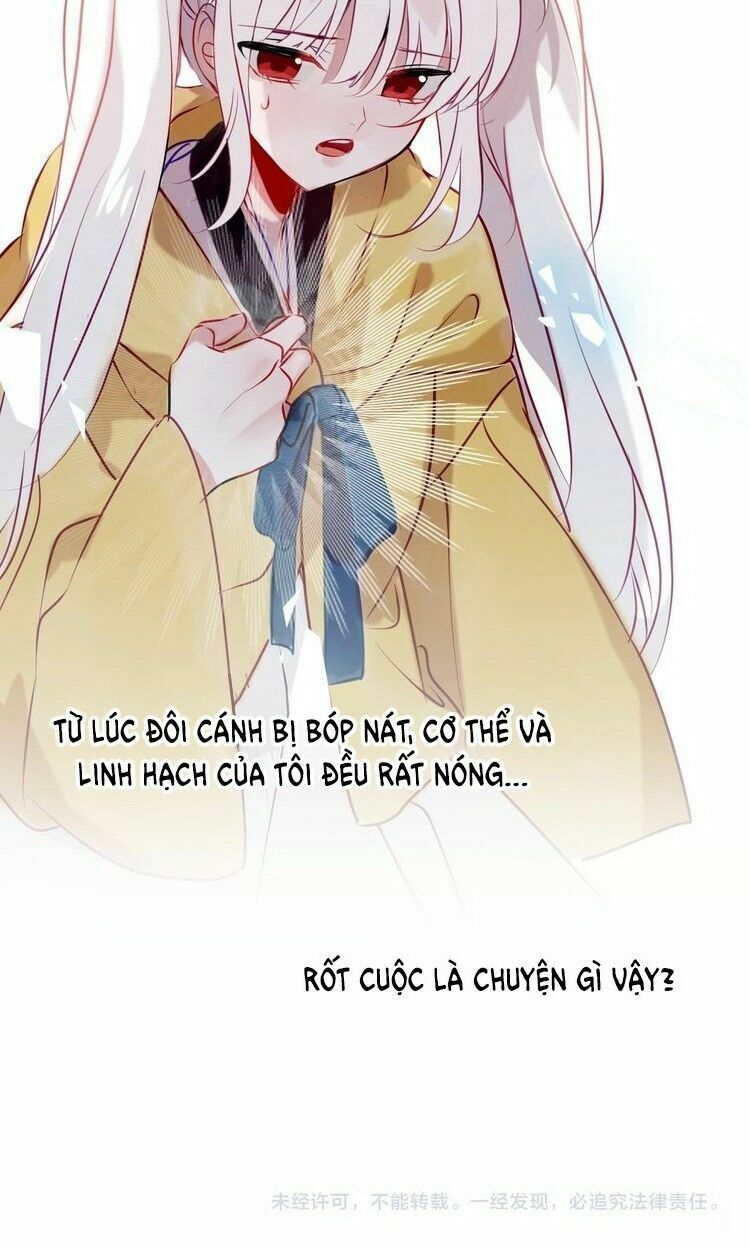 Ngô hoàng tại thượng: Chapter 86