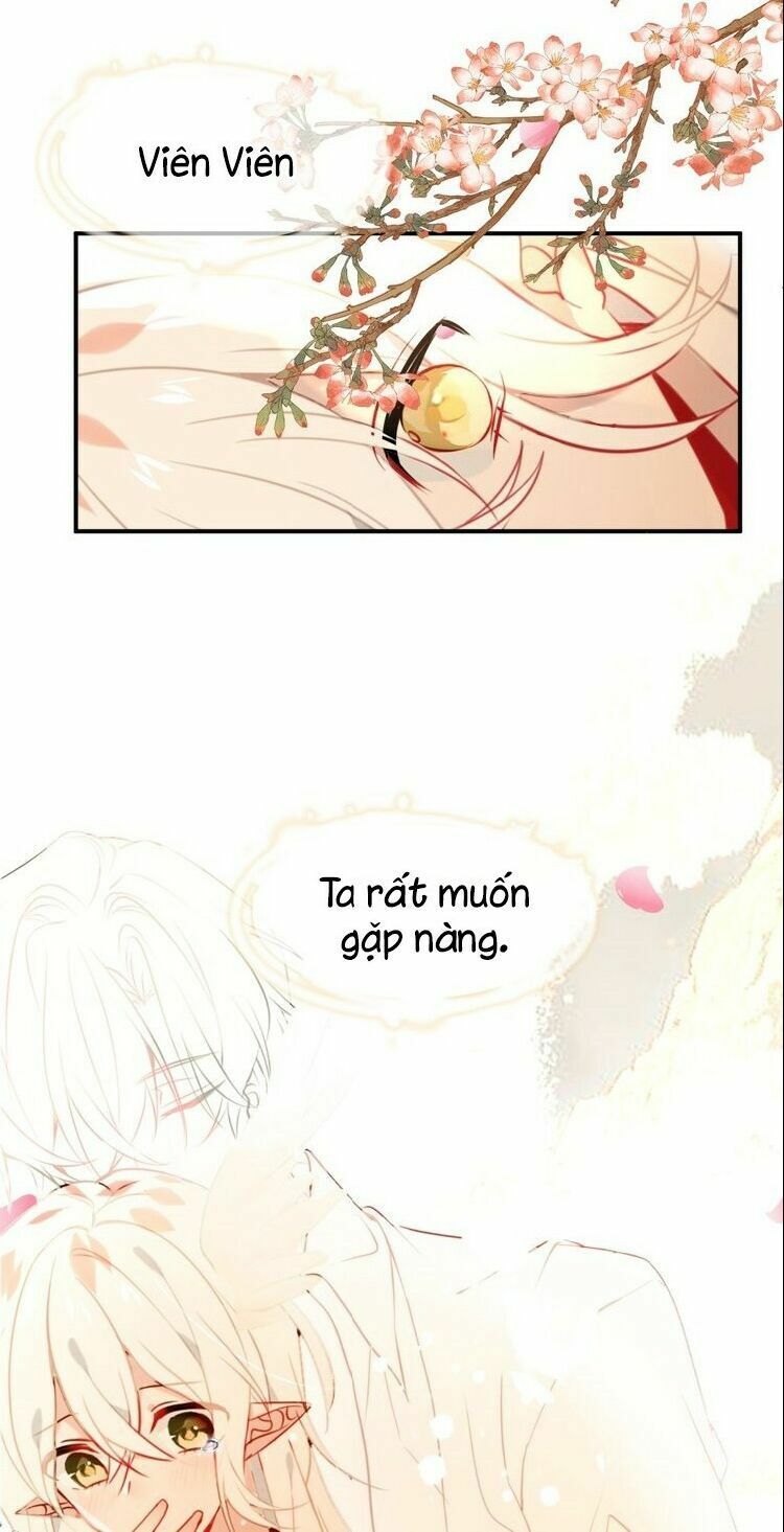 Ngô hoàng tại thượng: Chapter 91