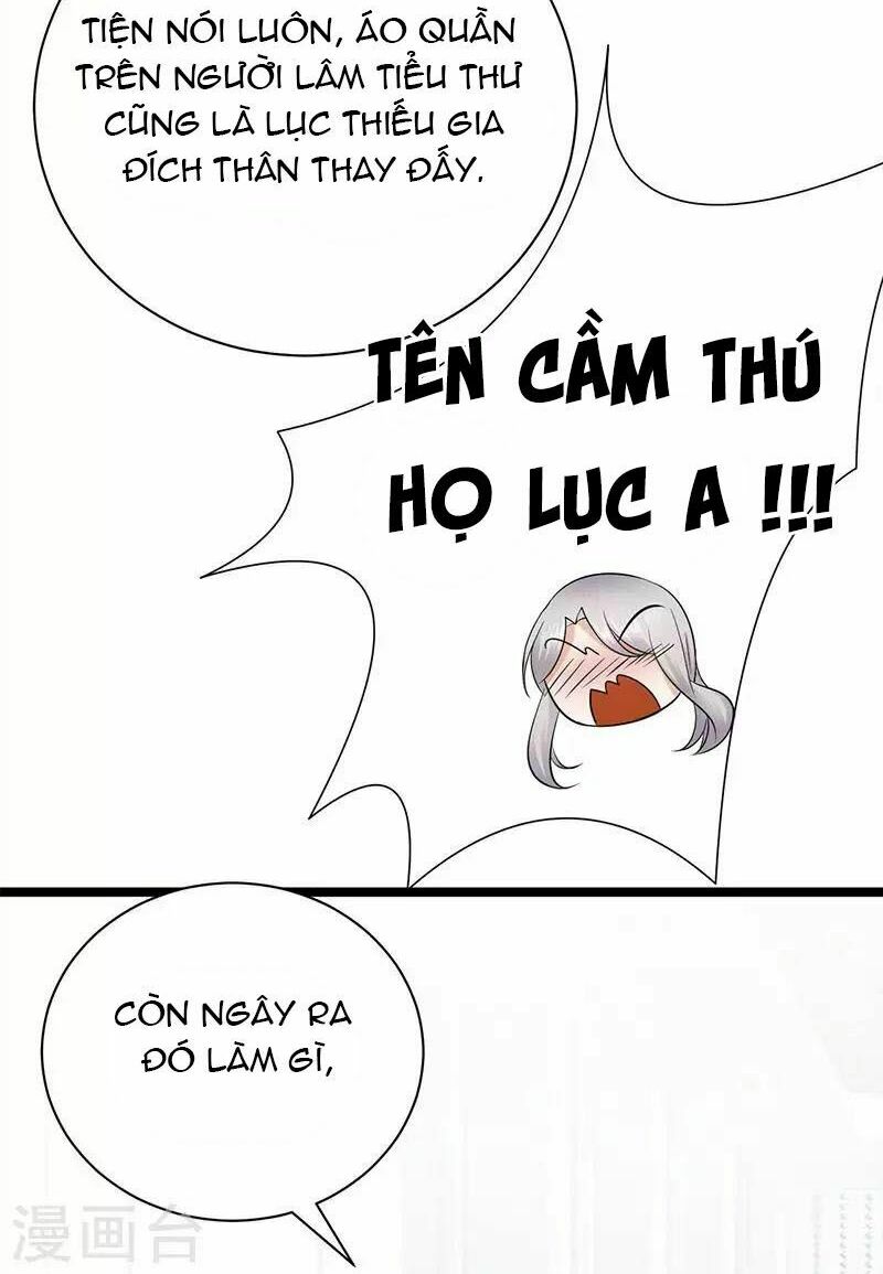 Sủng thê thành nghiện: Lục thiếu sủng từ đáy lòng: Chapter 13.5