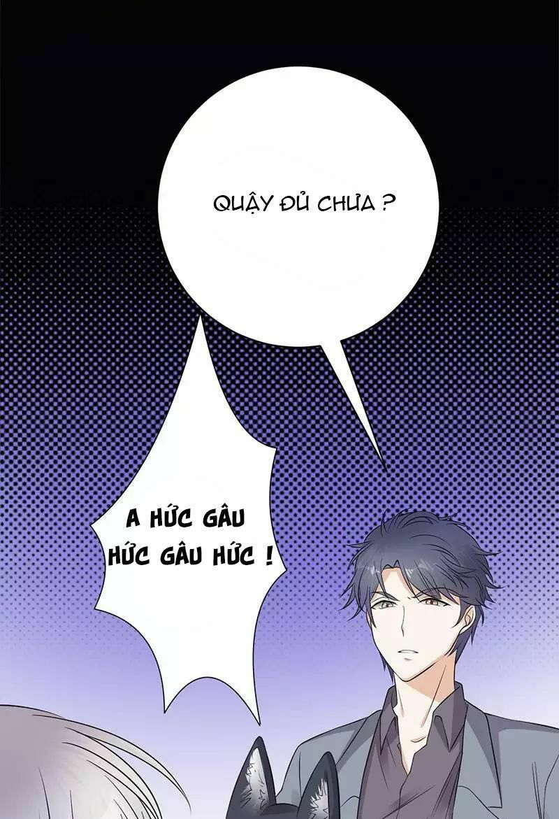 Sủng thê thành nghiện: Lục thiếu sủng từ đáy lòng: Chapter 14.5