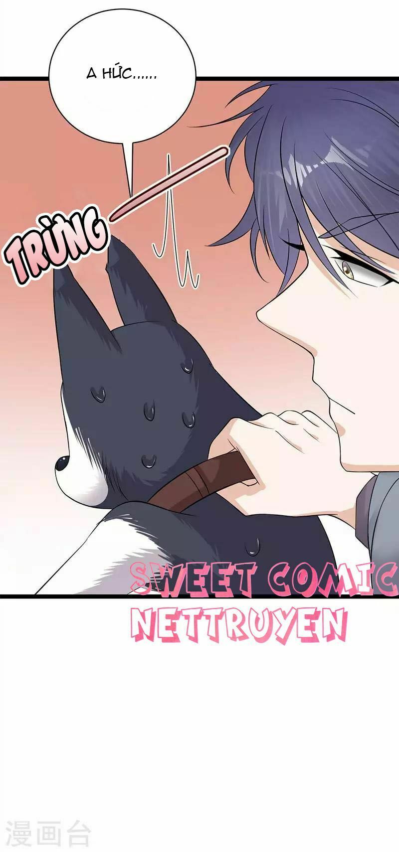 Sủng thê thành nghiện: Lục thiếu sủng từ đáy lòng: Chapter 14.5