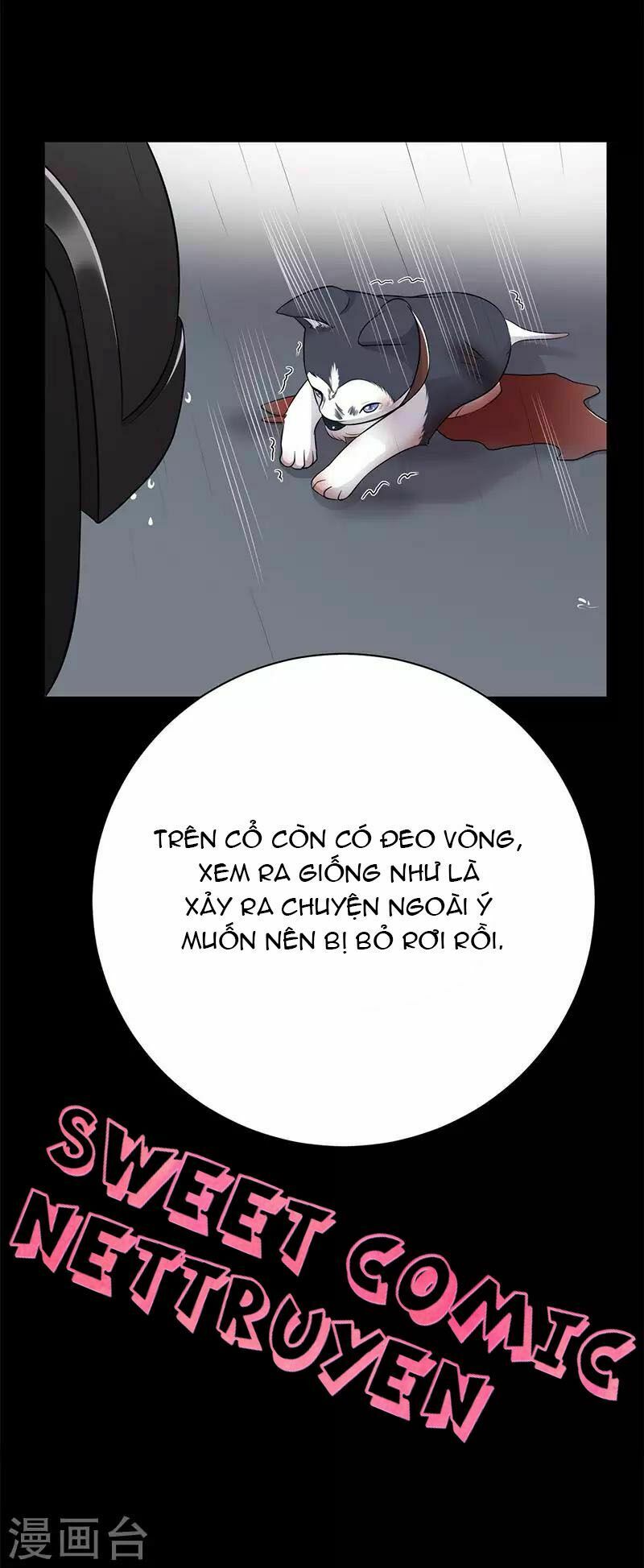 Sủng thê thành nghiện: Lục thiếu sủng từ đáy lòng: Chapter 14.5
