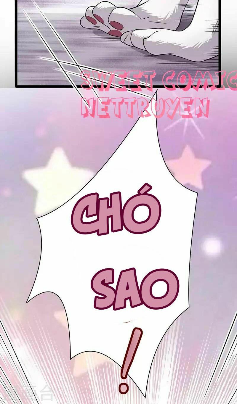 Sủng thê thành nghiện: Lục thiếu sủng từ đáy lòng: Chapter 14