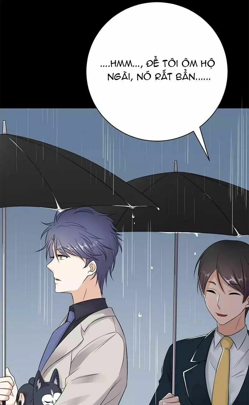 Sủng thê thành nghiện: Lục thiếu sủng từ đáy lòng: Chapter 15