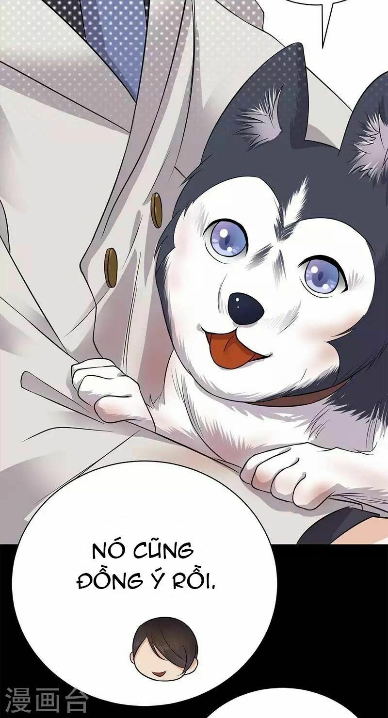 Sủng thê thành nghiện: Lục thiếu sủng từ đáy lòng: Chapter 15