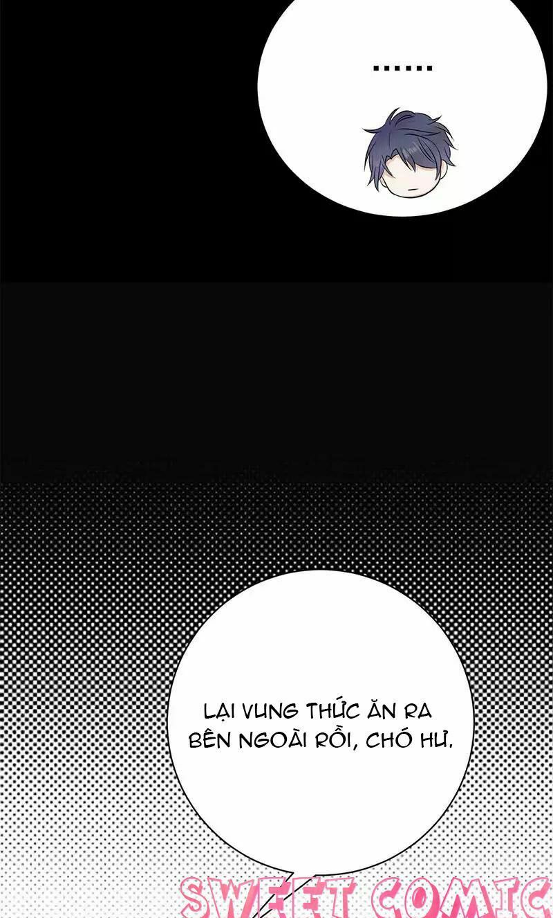 Sủng thê thành nghiện: Lục thiếu sủng từ đáy lòng: Chapter 15