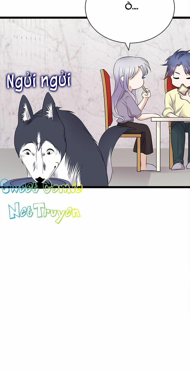 Sủng thê thành nghiện: Lục thiếu sủng từ đáy lòng: Chapter 37.5