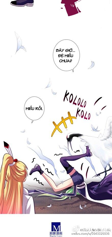 Đại Sư Huynh Nhà Tui Bị Não: Chapter 51