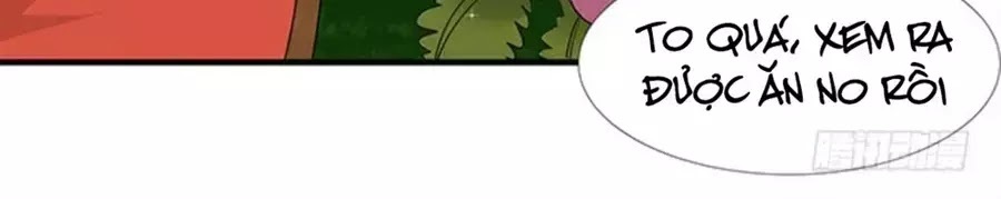 Vương Tử Nhà Tôi Là Nô Bộc: Chapter 101
