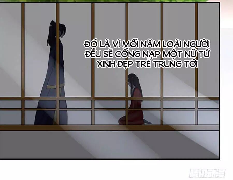 Vương Tử Nhà Tôi Là Nô Bộc: Chapter 105