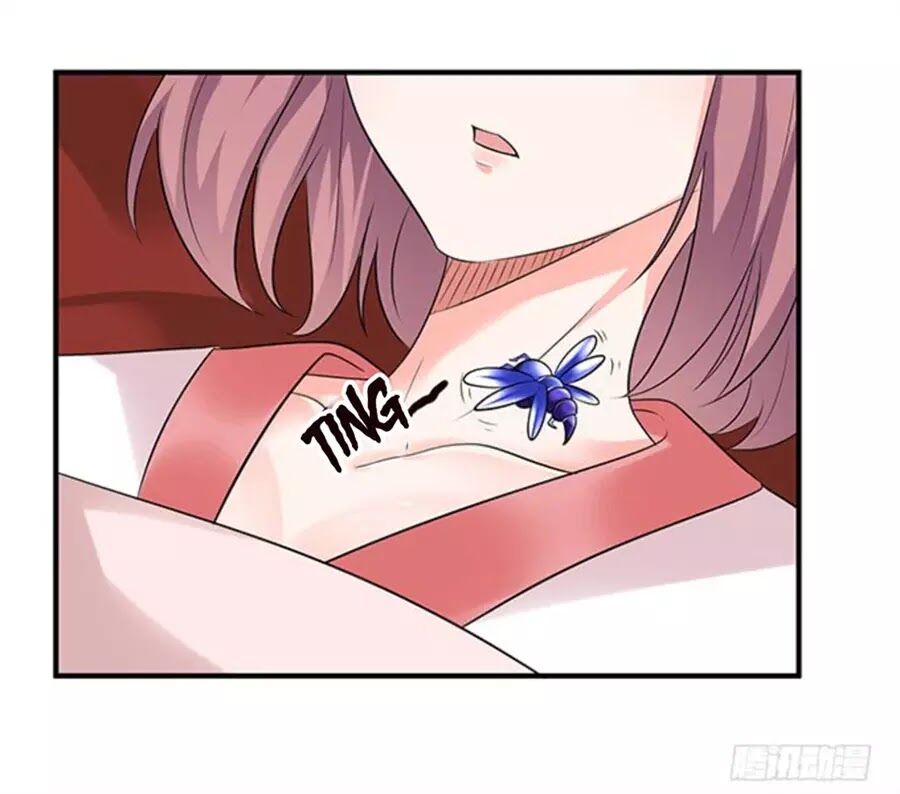 Vương Tử Nhà Tôi Là Nô Bộc: Chapter 106