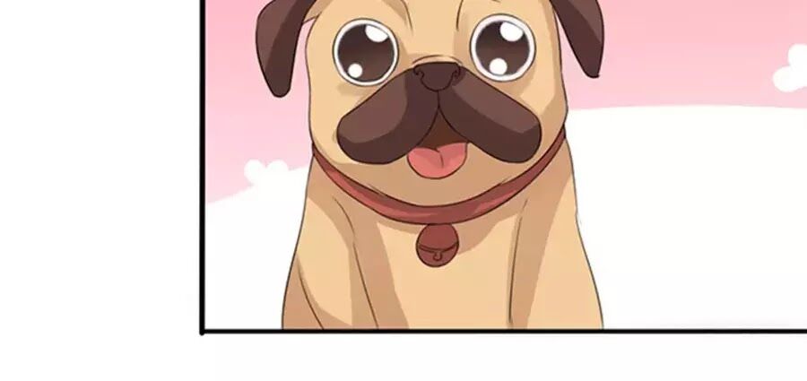 Vương Tử Nhà Tôi Là Nô Bộc: Chapter 107