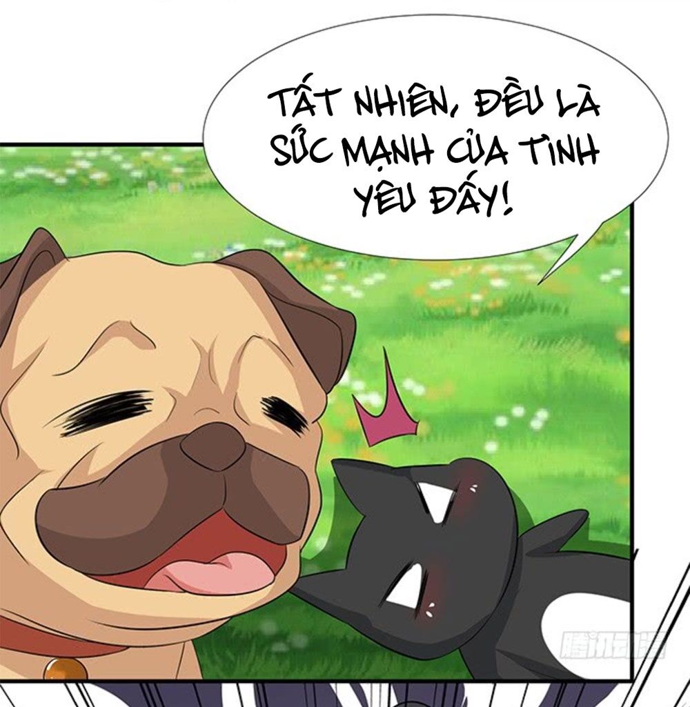 Vương Tử Nhà Tôi Là Nô Bộc: Chapter 111