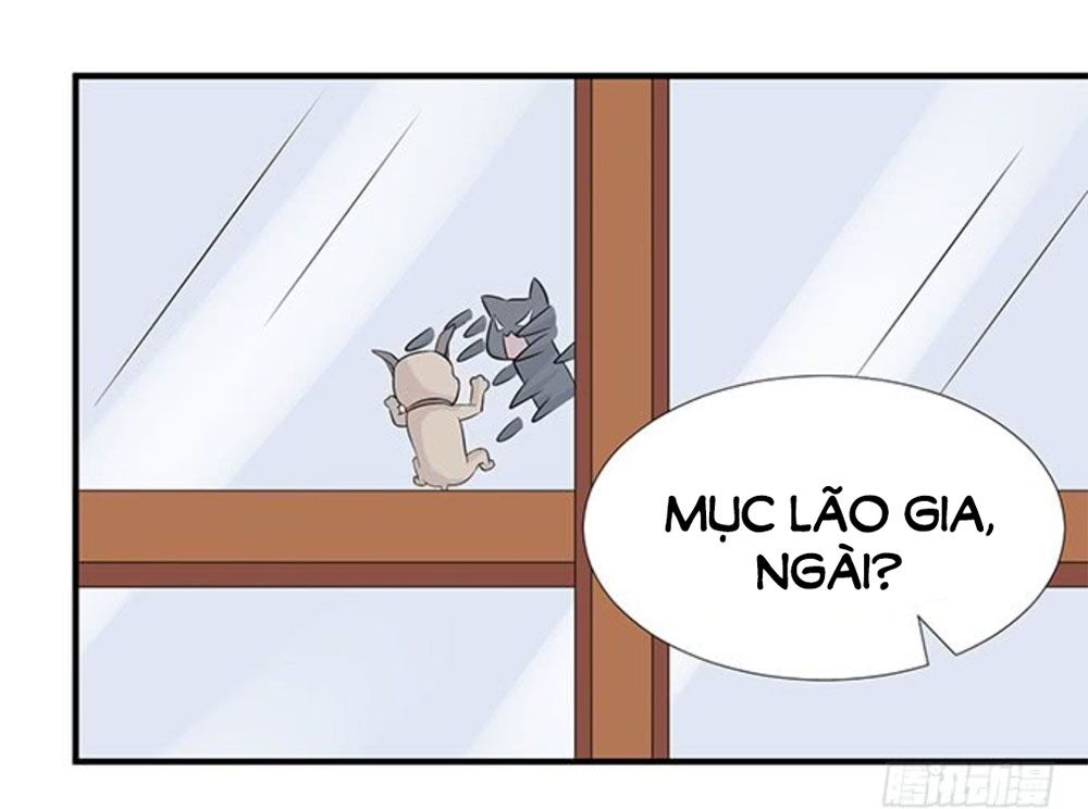 Vương Tử Nhà Tôi Là Nô Bộc: Chapter 111