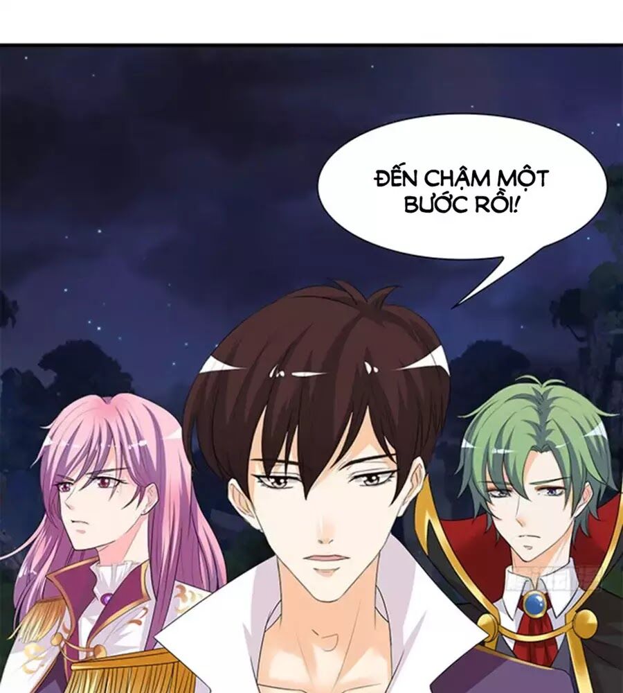 Vương Tử Nhà Tôi Là Nô Bộc: Chapter 116