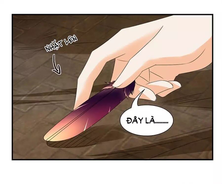 Vương Tử Nhà Tôi Là Nô Bộc: Chapter 116