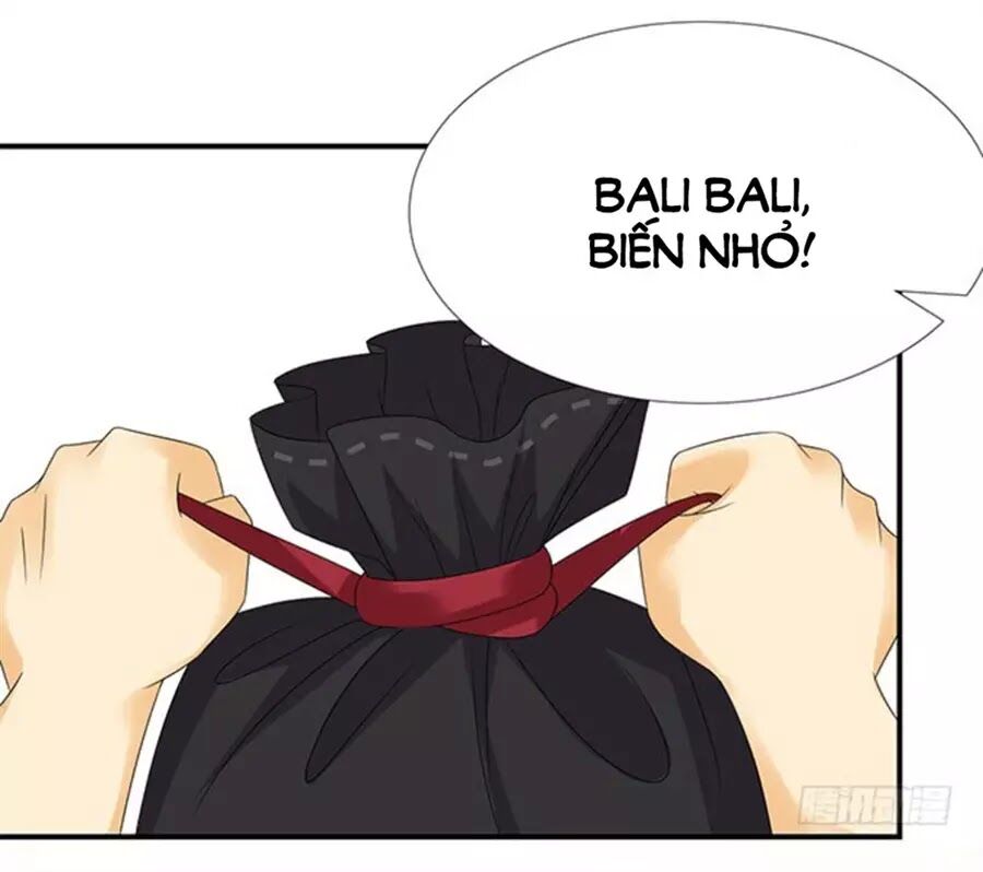 Vương Tử Nhà Tôi Là Nô Bộc: Chapter 116