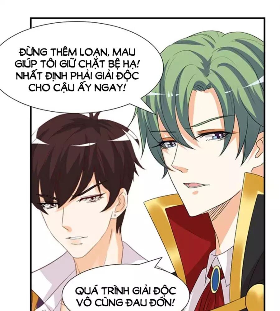 Vương Tử Nhà Tôi Là Nô Bộc: Chapter 117