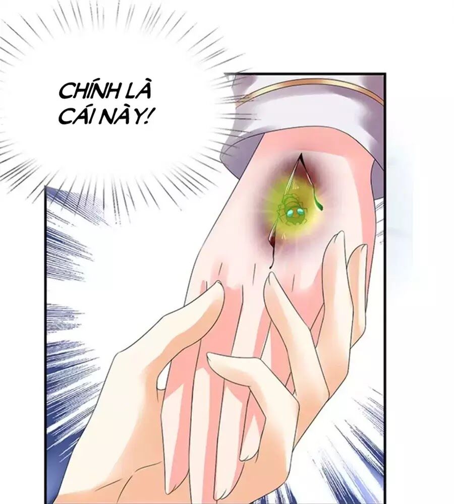 Vương Tử Nhà Tôi Là Nô Bộc: Chapter 117