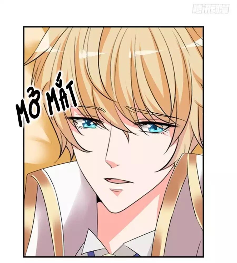 Vương Tử Nhà Tôi Là Nô Bộc: Chapter 117