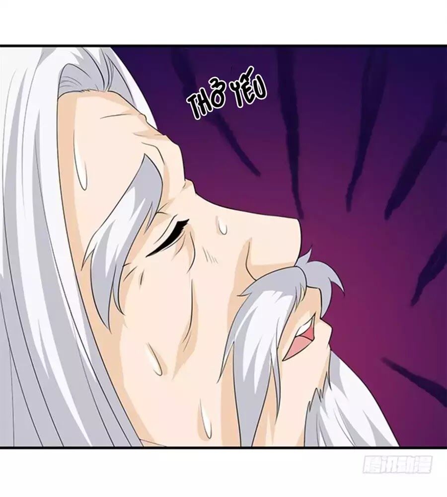 Vương Tử Nhà Tôi Là Nô Bộc: Chapter 117