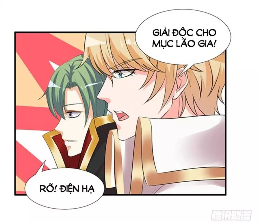 Vương Tử Nhà Tôi Là Nô Bộc: Chapter 117