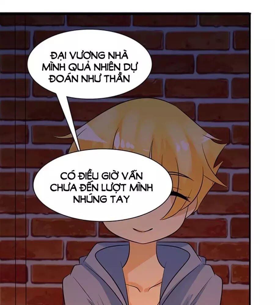 Vương Tử Nhà Tôi Là Nô Bộc: Chapter 121