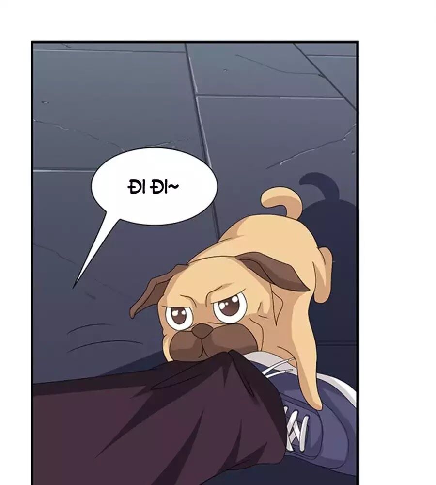 Vương Tử Nhà Tôi Là Nô Bộc: Chapter 121