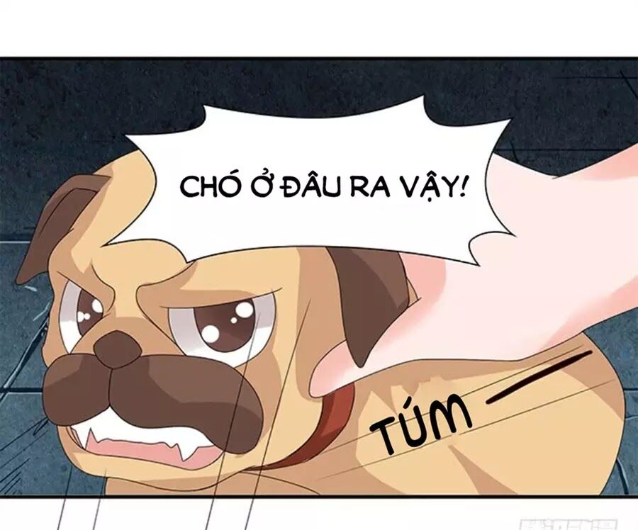 Vương Tử Nhà Tôi Là Nô Bộc: Chapter 121