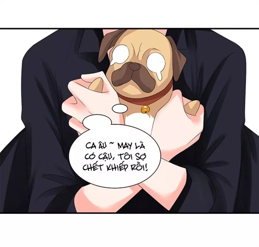Vương Tử Nhà Tôi Là Nô Bộc: Chapter 121