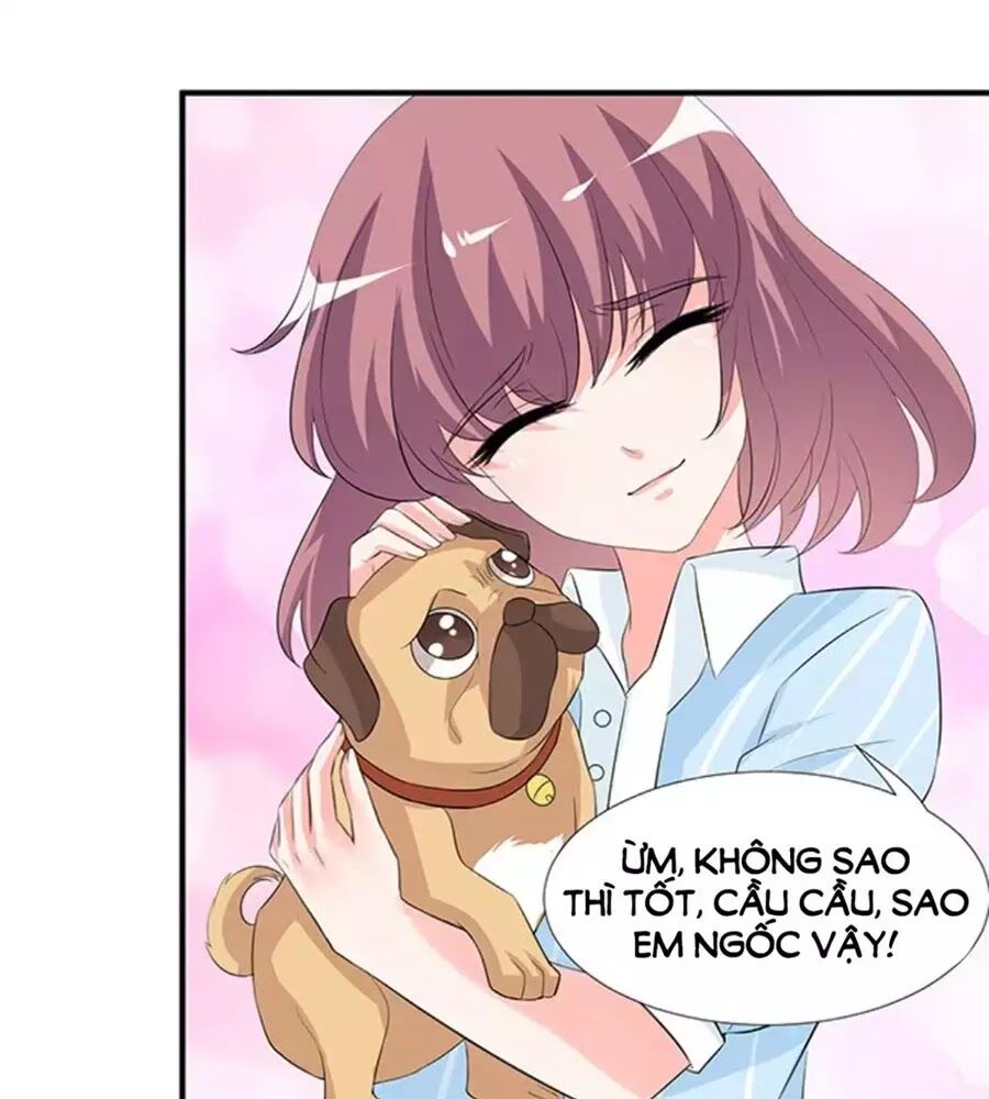 Vương Tử Nhà Tôi Là Nô Bộc: Chapter 121