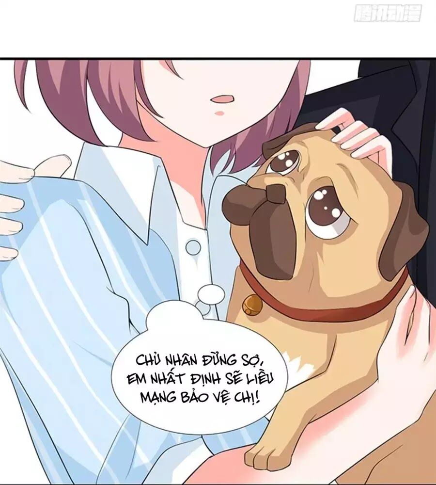 Vương Tử Nhà Tôi Là Nô Bộc: Chapter 121