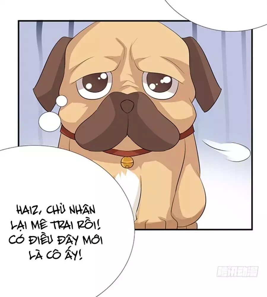 Vương Tử Nhà Tôi Là Nô Bộc: Chapter 122