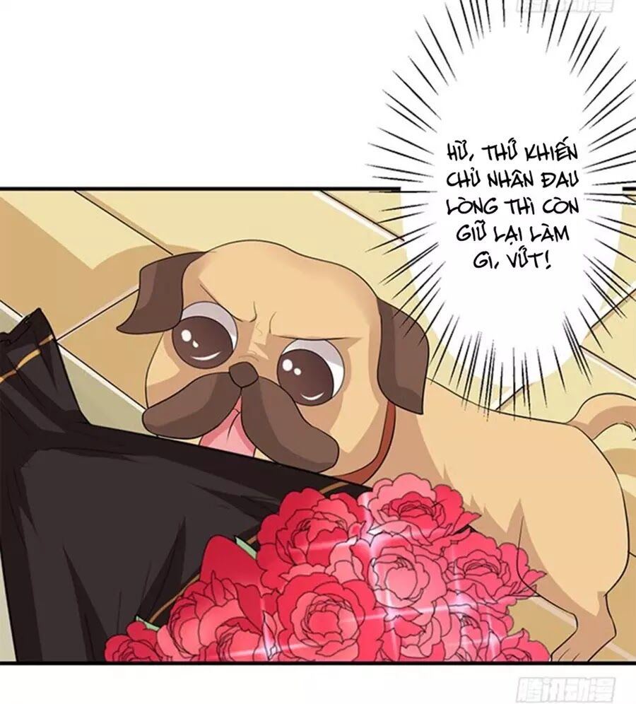 Vương Tử Nhà Tôi Là Nô Bộc: Chapter 126