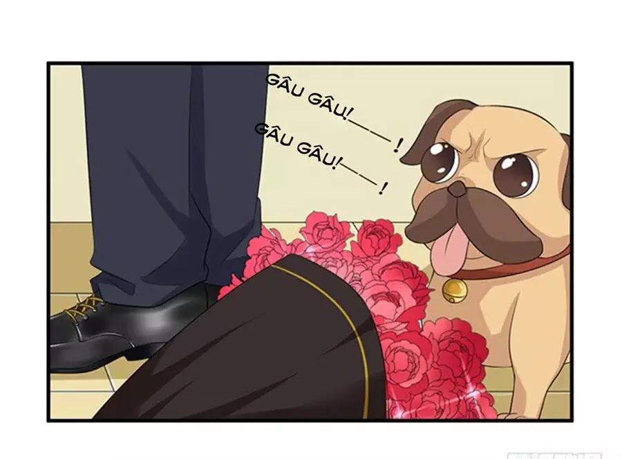 Vương Tử Nhà Tôi Là Nô Bộc: Chapter 126