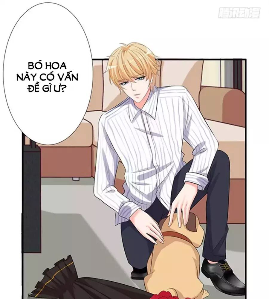 Vương Tử Nhà Tôi Là Nô Bộc: Chapter 126