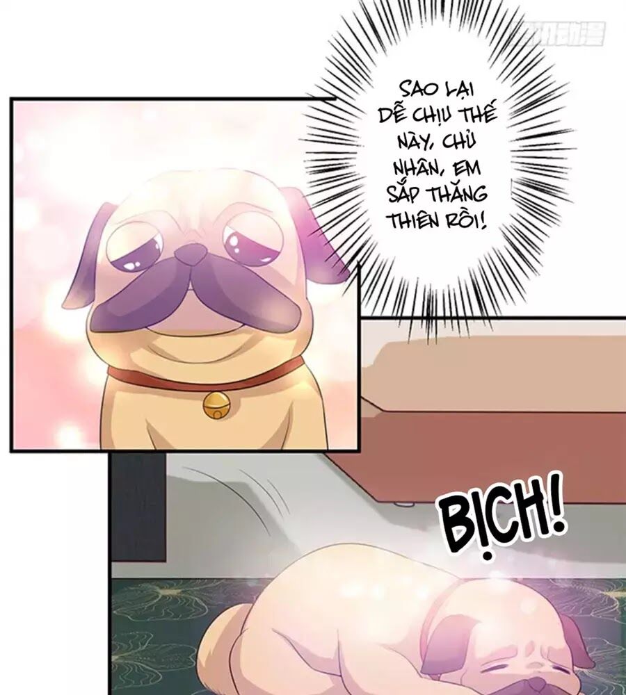 Vương Tử Nhà Tôi Là Nô Bộc: Chapter 126