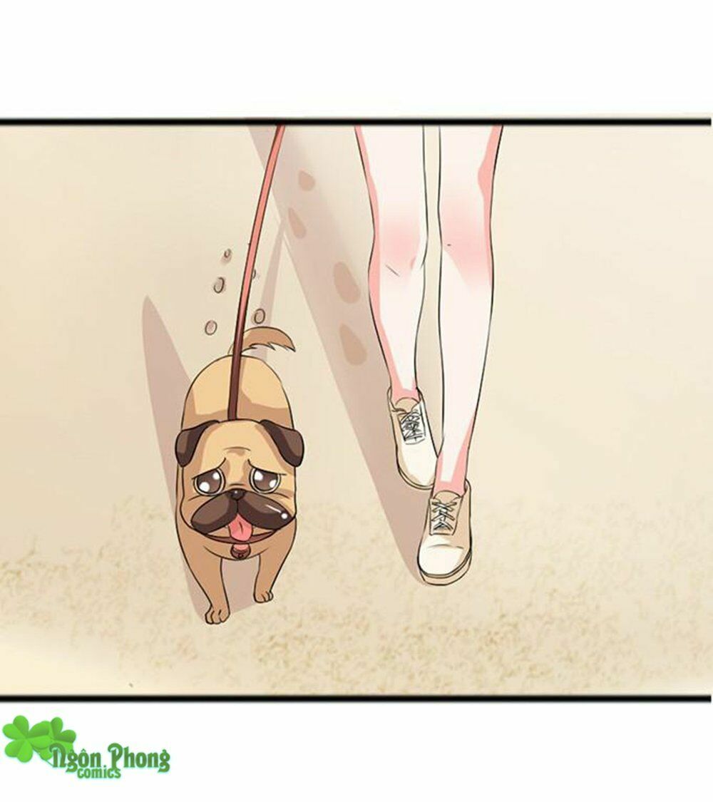 Vương Tử Nhà Tôi Là Nô Bộc: Chapter 13